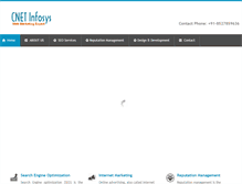 Tablet Screenshot of cnetinfosys.com